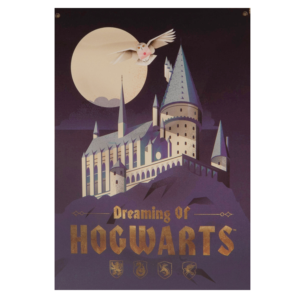 TM-02748-Harry-Potter-XL-Fabric-Wall-Banner
