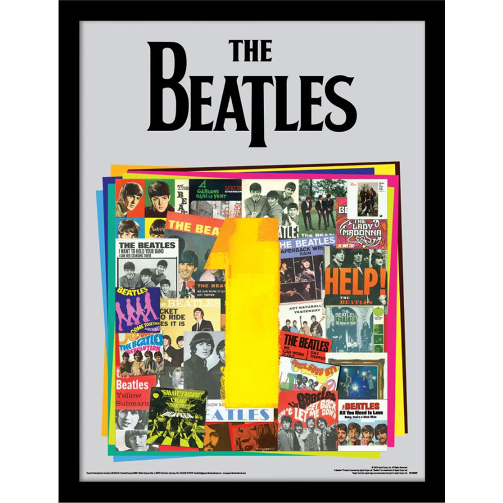 TM-03272-The-Beatles-Picture-Album-16-12