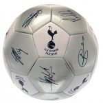 141510 Tottenham Hotspur FC Football Signature SV