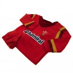 91818 Wales RU Sleepsuit GD