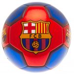 TM 03319 FC Barcelona Sig 26 Football