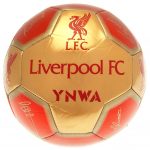 TM 03321 Liverpool FC Sig 26 Football