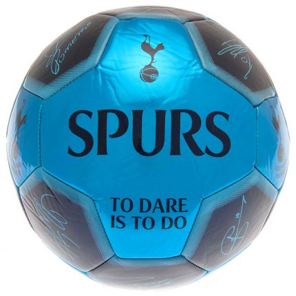 TM 03324 Tottenham Hotspur FC Sig 26 Football