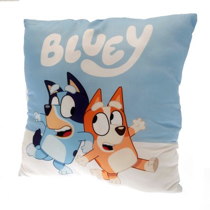 TM 03395 Bluey Cushion
