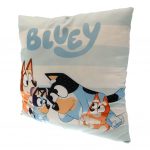 TM 03395 Bluey Cushion