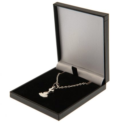 TM 03616 Tottenham Hotspur FC Silver Plated Boxed Pendant