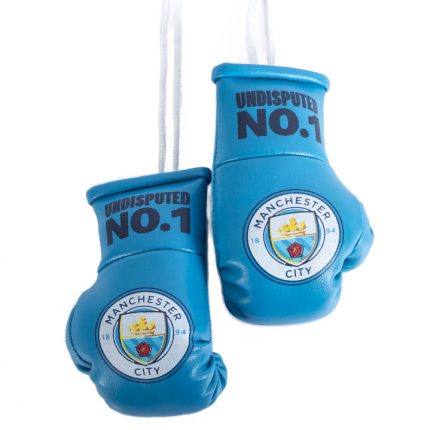 TM 03958 Manchester City FC Mini Boxing Gloves