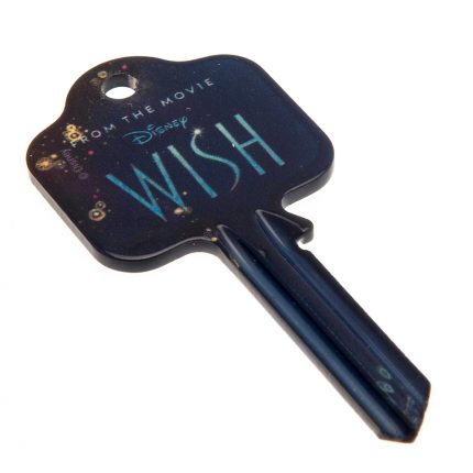 TM 04106 Wish Door Key Asha