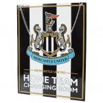 TM 04230 Newcastle United FC Garden Sign