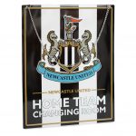 TM 04230 Newcastle United FC Garden Sign