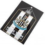 TM 04230 Newcastle United FC Garden Sign
