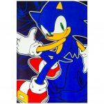 TM 04758 Sonic The Hedgehog Fleece Blanket